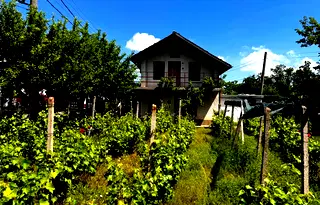 Къща в Плевен, м-т Плочата