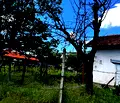 Снимка 4 — Къща в Плевен, м-т Плочата