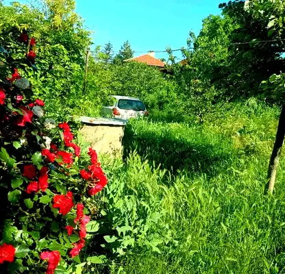Photo 4 — House in Oblast Vidin, Bukovec