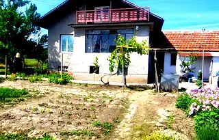 Къща в Плевен, с. Долни Вит