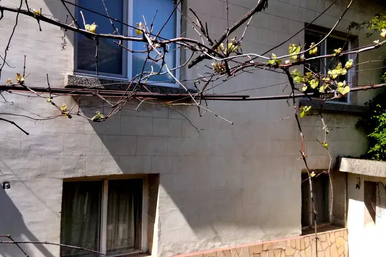 House in Kyustendil, Golemo Selo