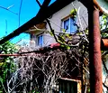 Снимка 2 — Къща в Кюстендил, с. Големо село