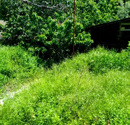 Photo 3 — House in Oblast Kyustendil, Pastra