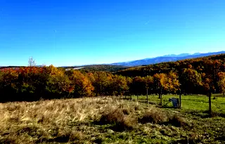 Къща в София, с. Пауново