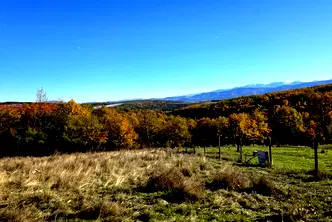 Къща в София, с. Пауново