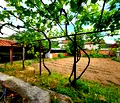 Снимка 4 — Къща в Благоевград, с. Струмешница