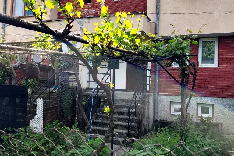 House in Oblast Veliko Tyrnovo, Strajica