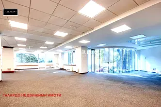 Офис в София, Лозенец