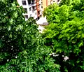 Снимка 2 — Гараж/Паркомясто в София, Борово