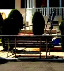 Стая в Банкя