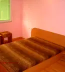 Стая в Русе, Дружба 1