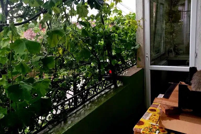 4-bedroom apartment in Oblast Veliko Tyrnovo, Gorna Oryahovica