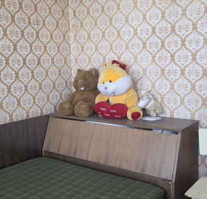 Снимка 5 — Едностаен апартамент в Пловдив, Карлово