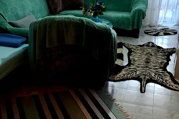 Двустаен апартамент в Плевен, Дружба 1