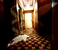 Снимка 2 — Тристаен апартамент с две тераси в Изгрев, Пловдив
