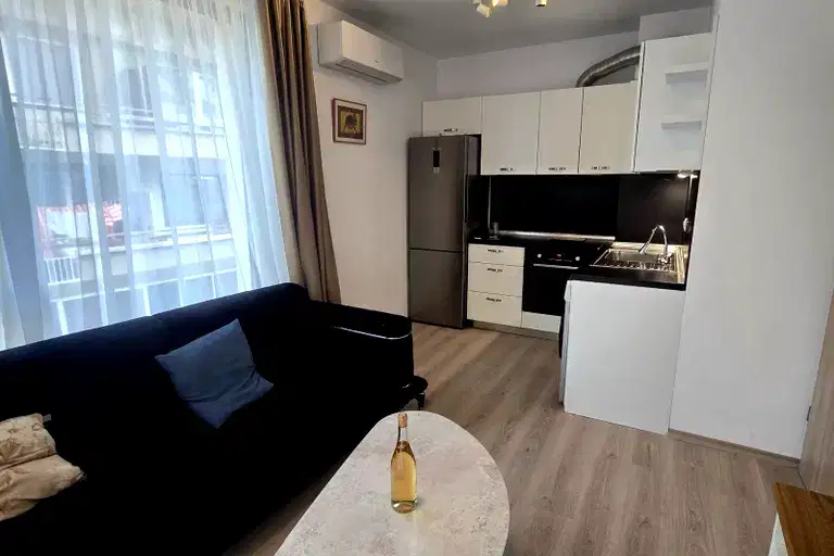 3-bedroom apartment in Sofiya, Lozenec