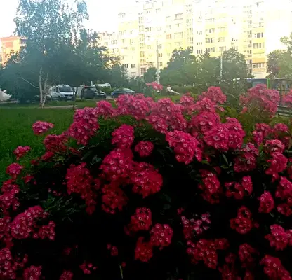 Снимка 2 — Просторен 3-стаен апартамент в Люлин 5 с две лоджии