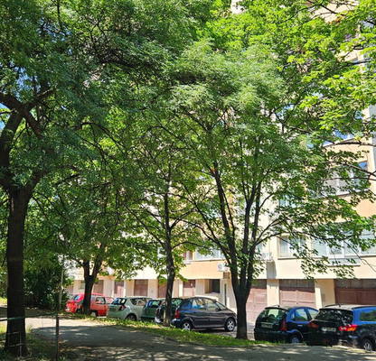 Photo 3 — 3-bedroom apartment in Sofiya, Strelbishte