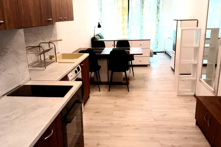 1-bedroom apartment in Sofiya, Vitosha