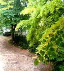 Тристаен апартамент в Стара Загора, Аязмото
