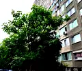 Снимка 2 — Едностаен апартамент в Стара Загора, Център