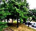 Снимка 3 — Тристаен апартамент в Стара Загора, Три чучура - юг