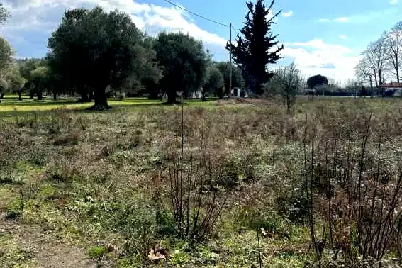Парцел в Халкидики