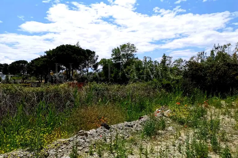 Plot in Халкидики