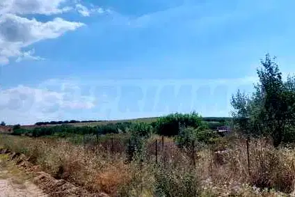 Plot in Халкидики