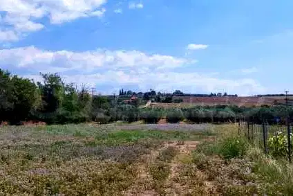 Plot in Халкидики
