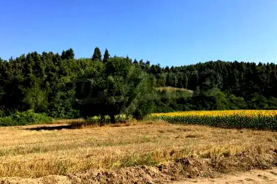 Парцел в Халкидики