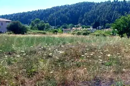 Plot in Халкидики