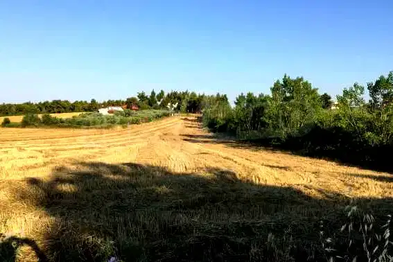 Парцел в Халкидики