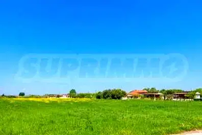 Plot in Халкидики