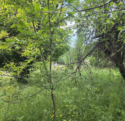 Photo 2 — Plot in Oblast Lovech, Aprilci
