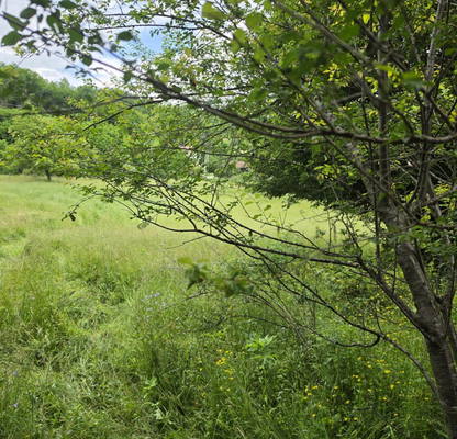 Photo 3 — Plot in Oblast Lovech, Aprilci