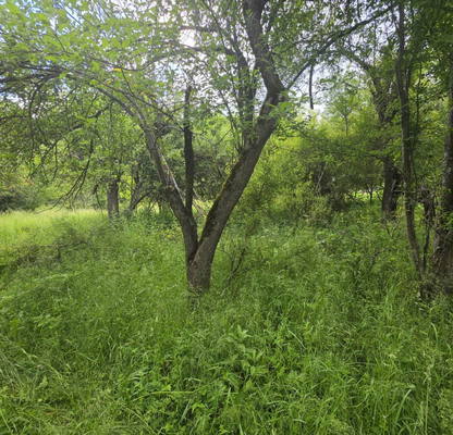 Photo 5 — Plot in Oblast Lovech, Aprilci