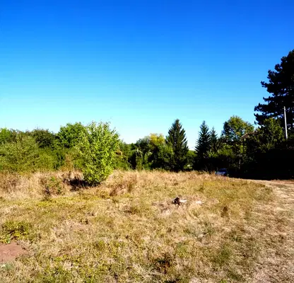 Photo 3 — Plot in Bankya