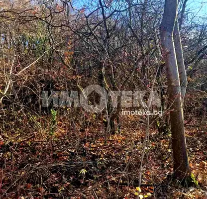 Снимка 4 — Парцел в Банкя