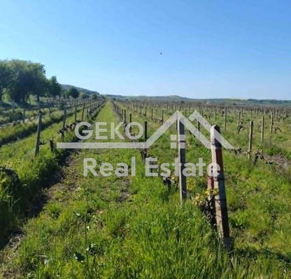 Photo 2 — Plot in Varna, Byala
