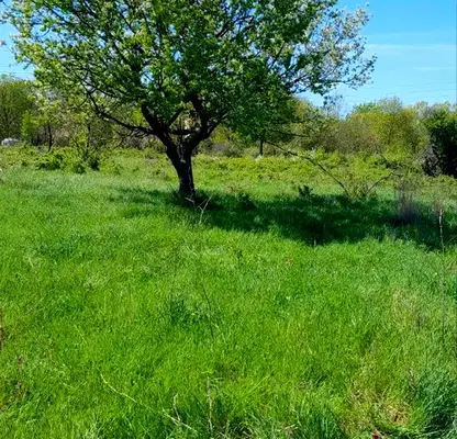 Снимка 4 — Парцел в Бургас, Черноморец