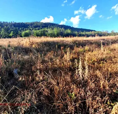 Photo 2 — Plot in Veliko Tyrnovo, Debelec