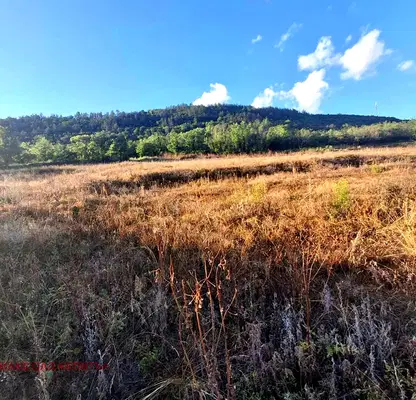 Photo 3 — Plot in Veliko Tyrnovo, Debelec