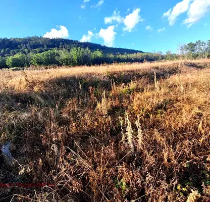 Photo 5 — Plot in Veliko Tyrnovo, Debelec