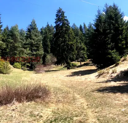 Photo 2 — Plot in Oblast Smolyan, Dospat