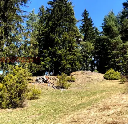Photo 4 — Plot in Oblast Smolyan, Dospat