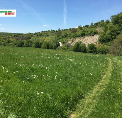 Photo 4 — Plot in Oblast Veliko Tyrnovo, Elena