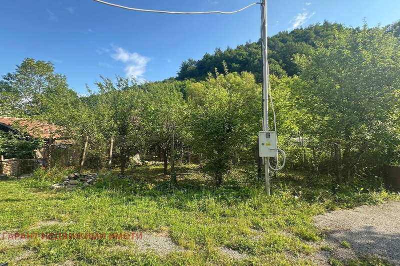 Plot in Gabrovo, Ябълка
