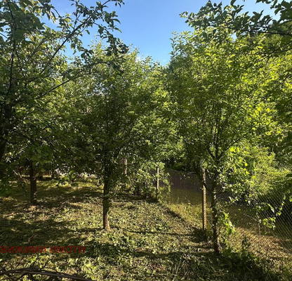 Photo 2 — Plot in Gabrovo, Ябълка