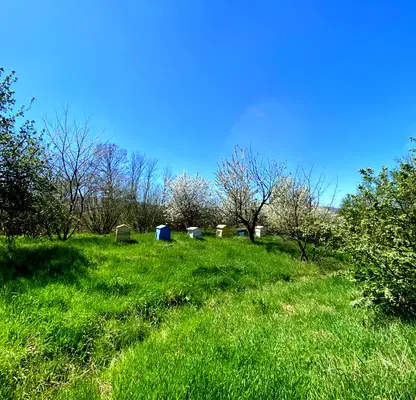 Photo 2 — Plot in област София, Godech